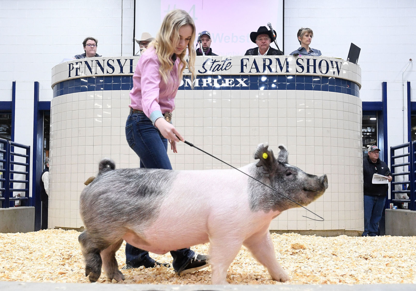Farm Show 11